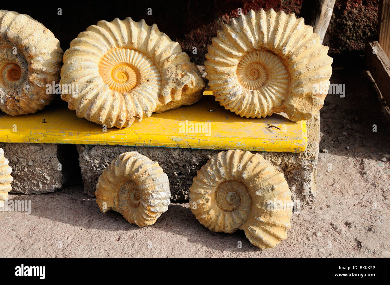 Fossils (fake) for sale, Tizi-n-Test pass Stock Photo