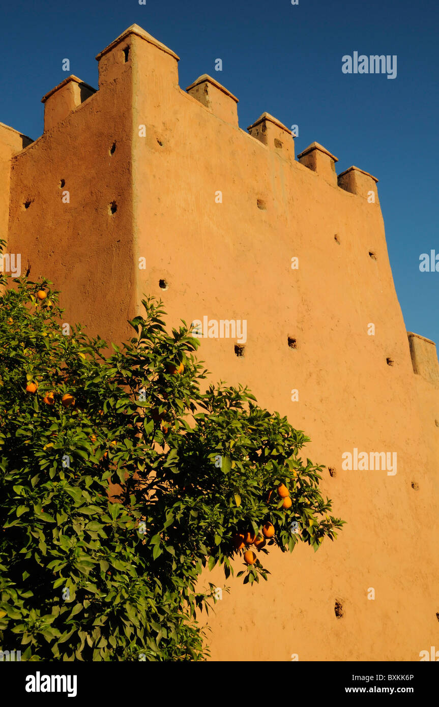 Orange trees & city walls along Boulevard Yarmouk in Marrakech Stock Photo