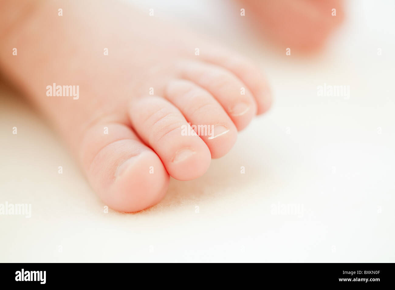 Close up of baby toes Stock Photo