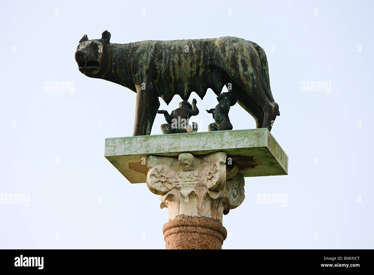 Romulus remus statue pisa italy hires stock photography and images Alamy