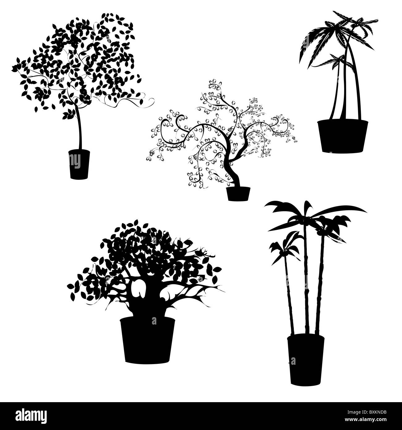 Apartment decorative trees Stock Photo - Alamy