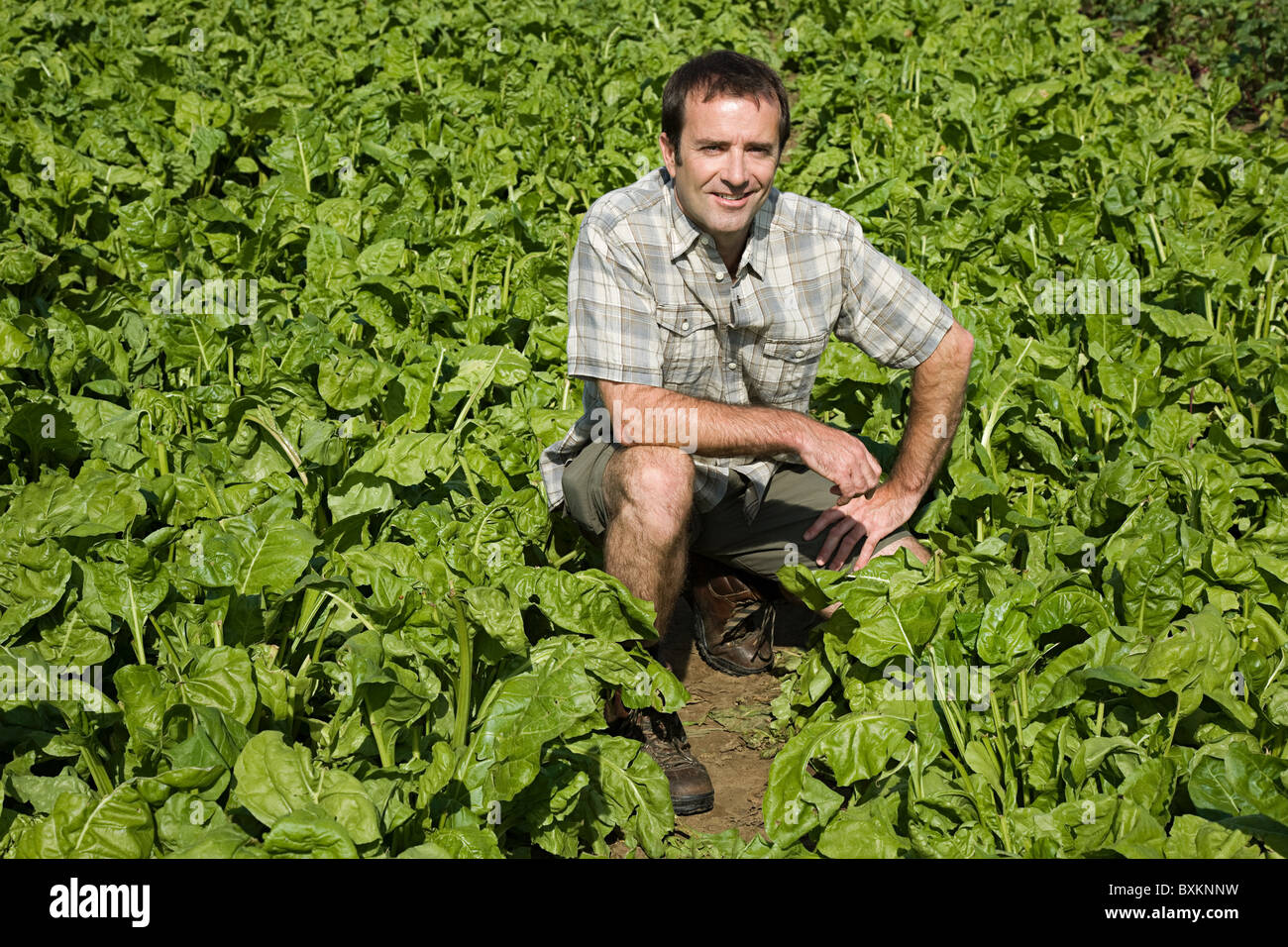Crouching on ground hi-res stock photography and images - Alamy