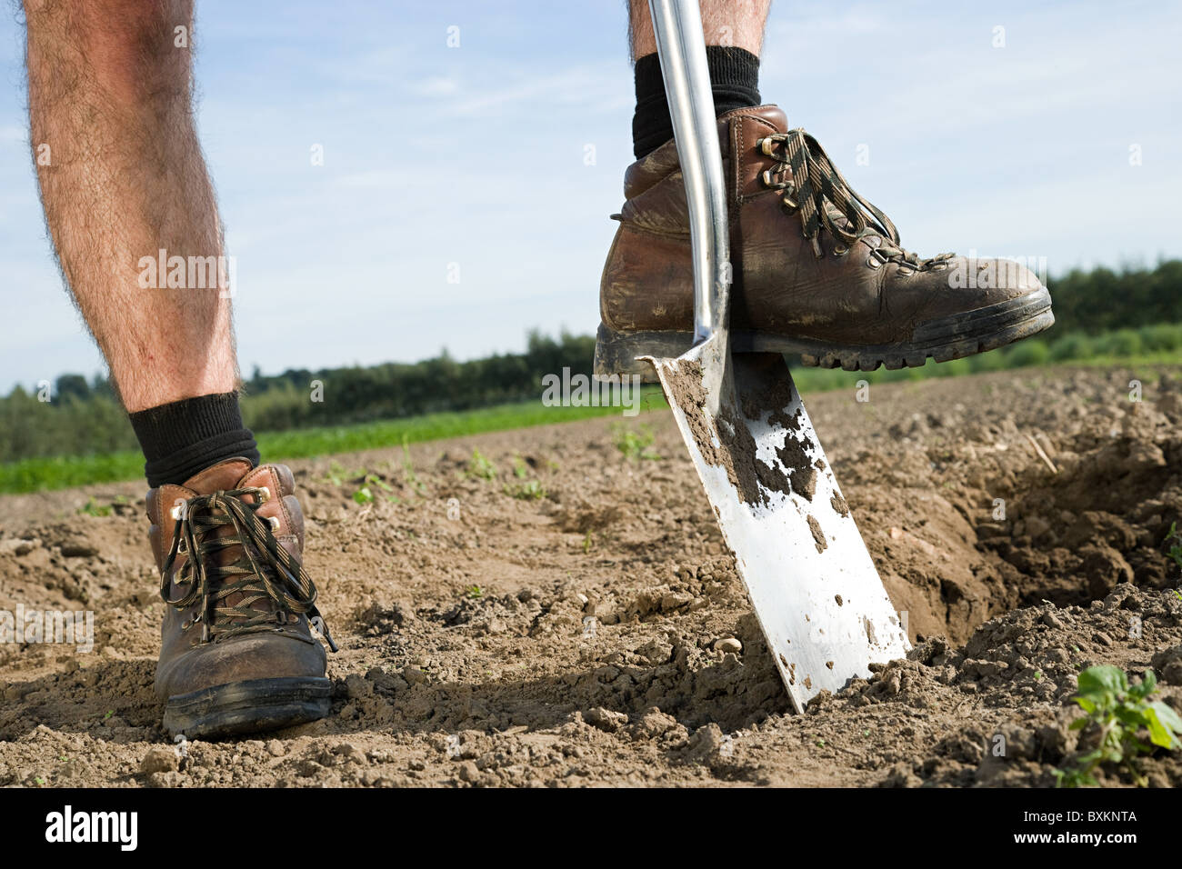 Farmer digging in field Stock Photo