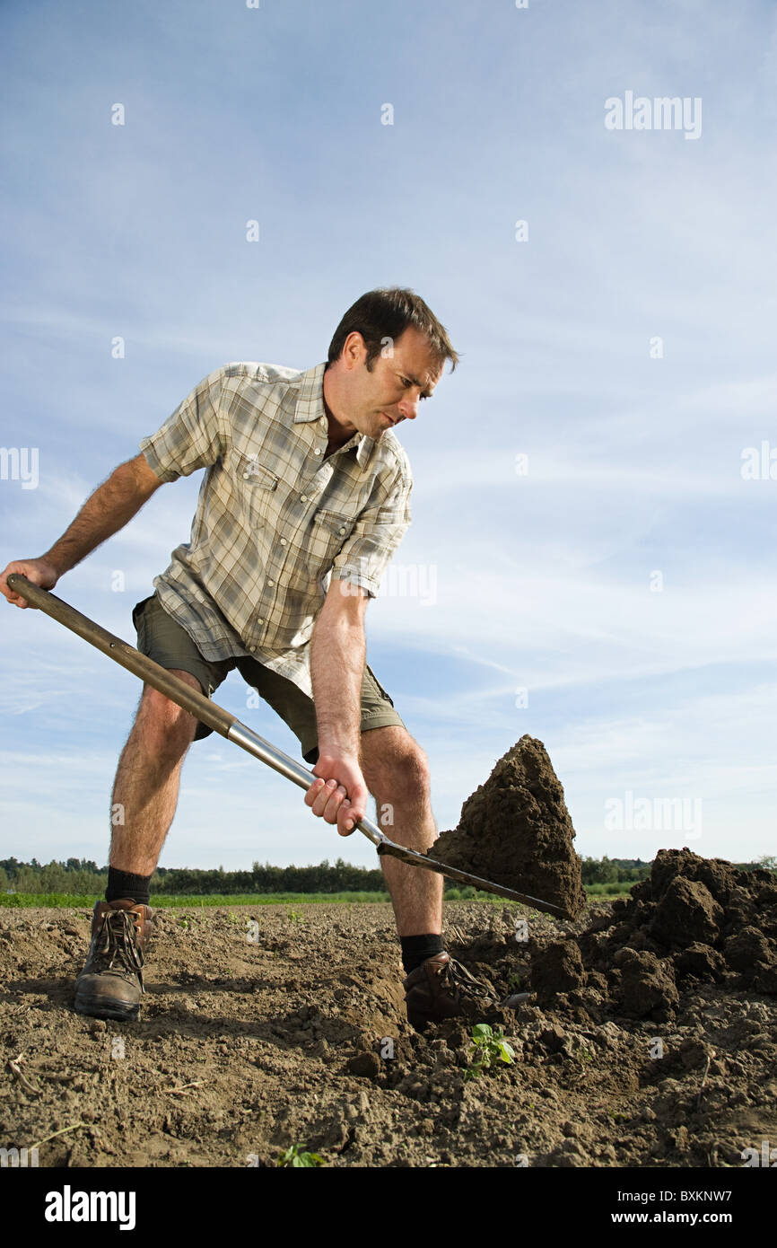 Mid adult man digging in field Stock Photo