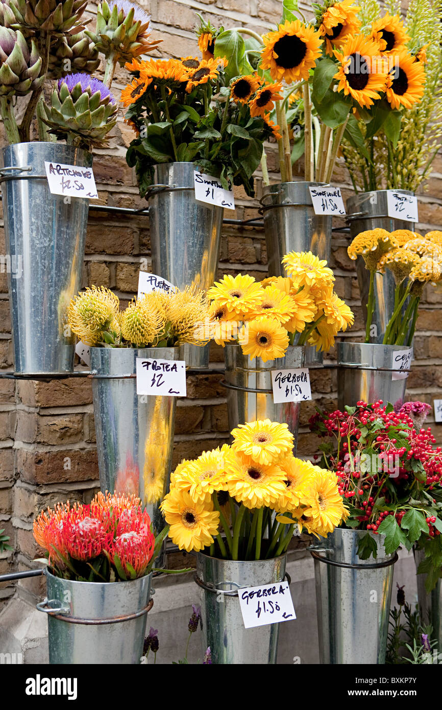 Flower stall, London, England Stock Photo Alamy