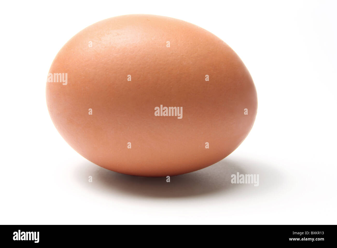 Brown Egg Stock Photo