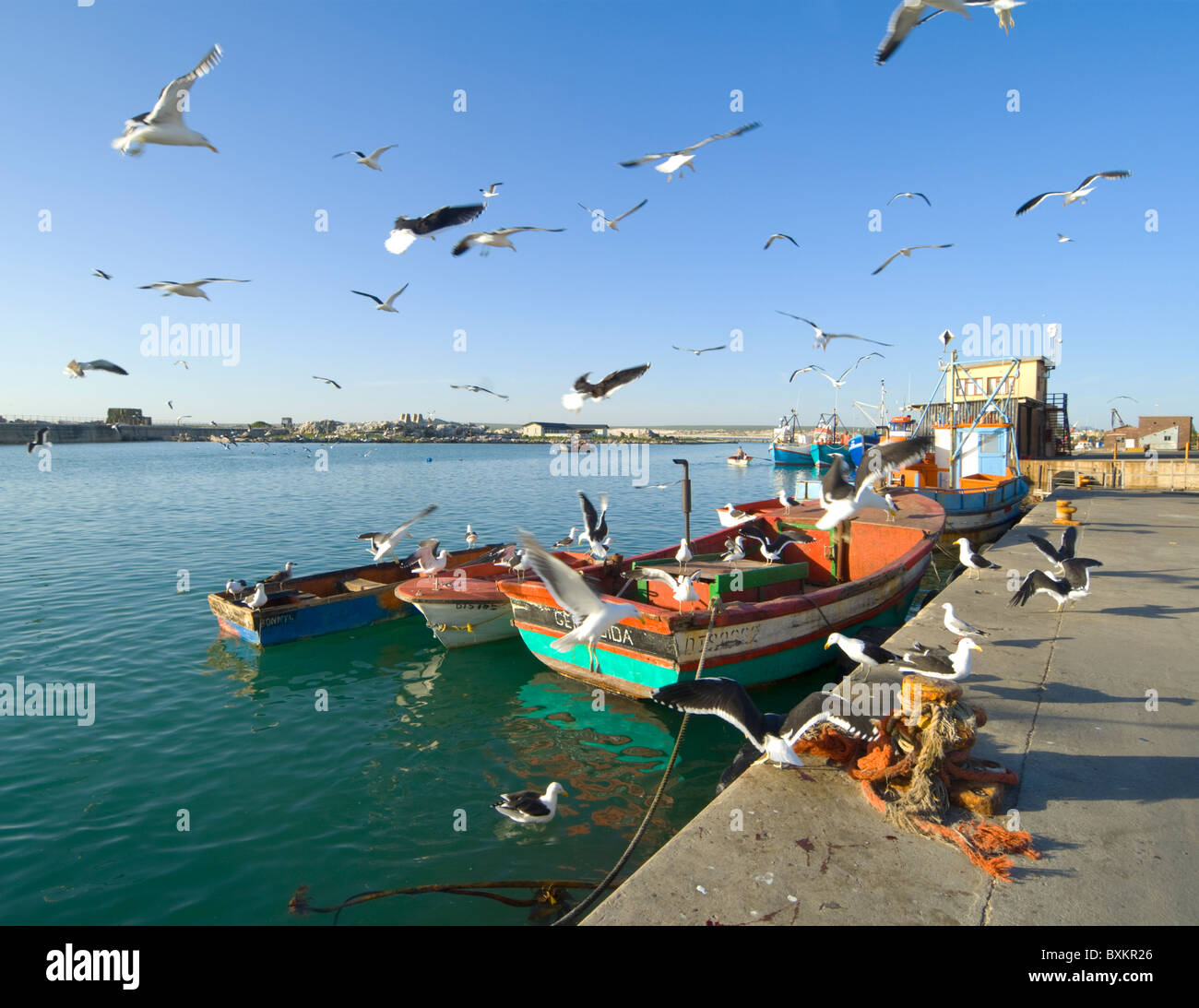 Lambert's Bay Western Cape South Africa Stock Photo Alamy
