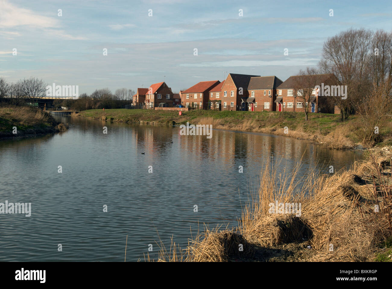 Housing development in Ipswich UK Stock Photo Alamy
