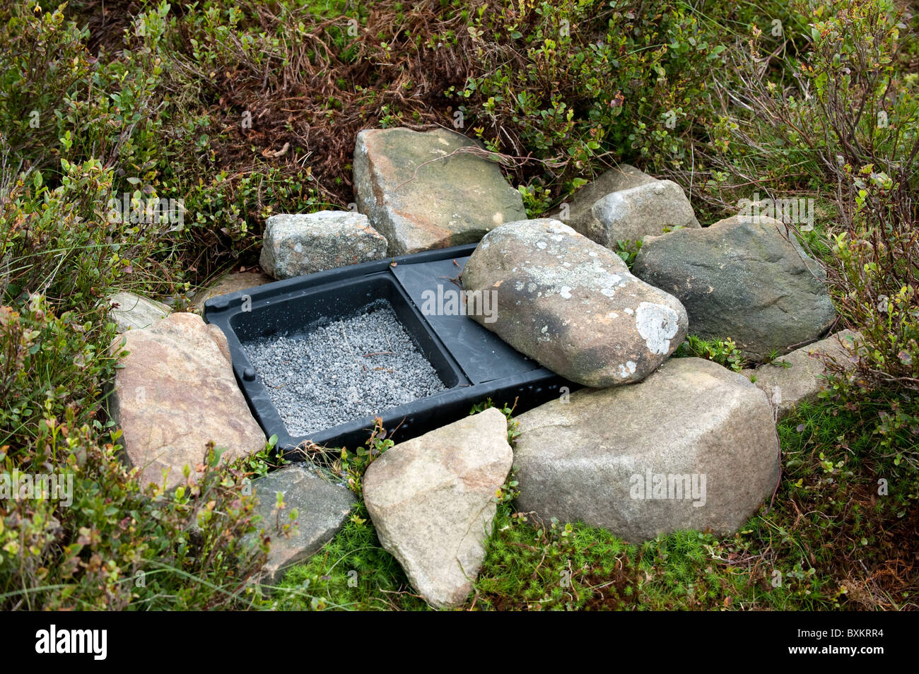 Grit supply for Red Grouse on a shooting moor. Stock Photo