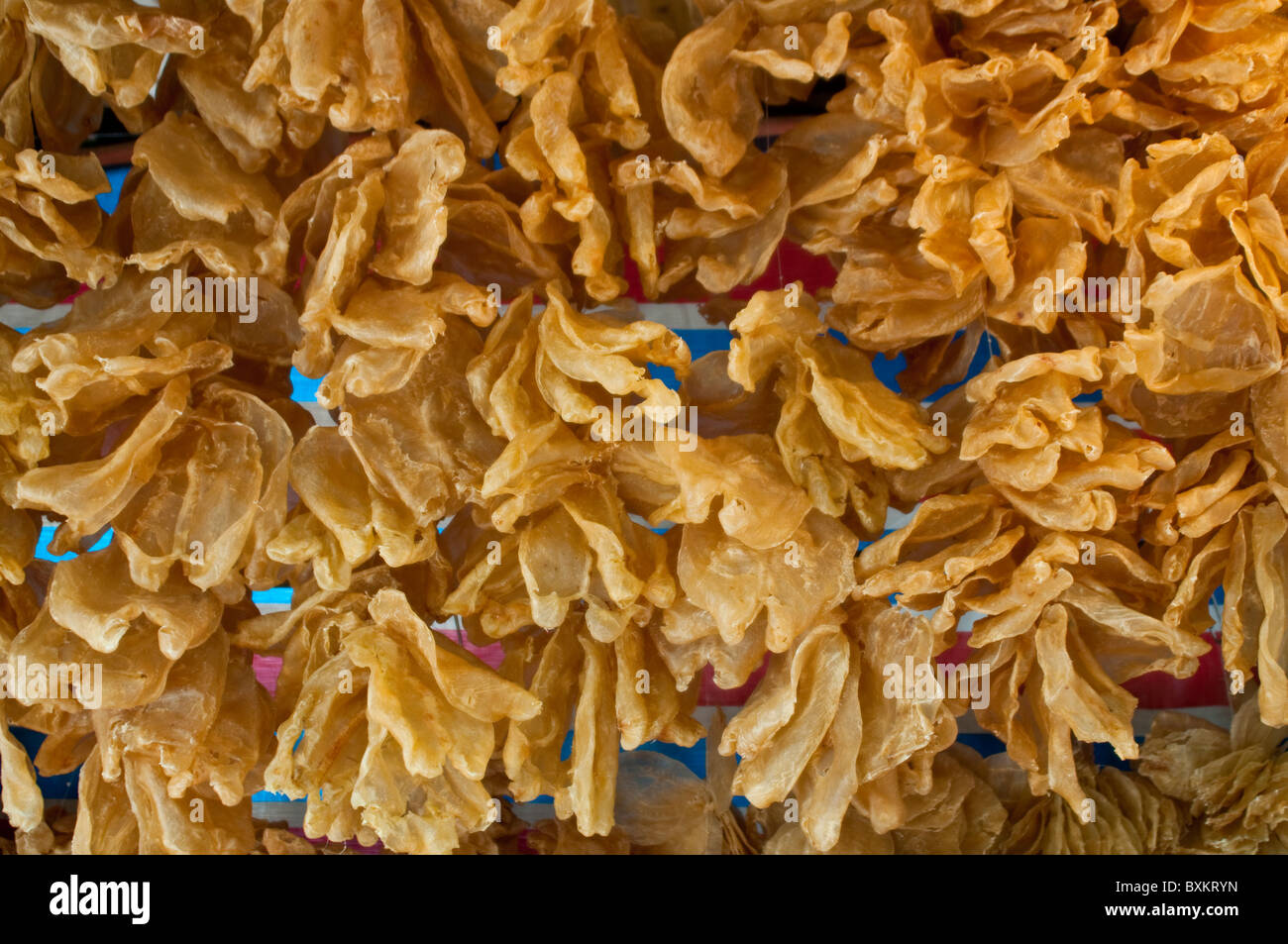 Stall Dried Seafood Hong Kong High Resolution Stock Photography and