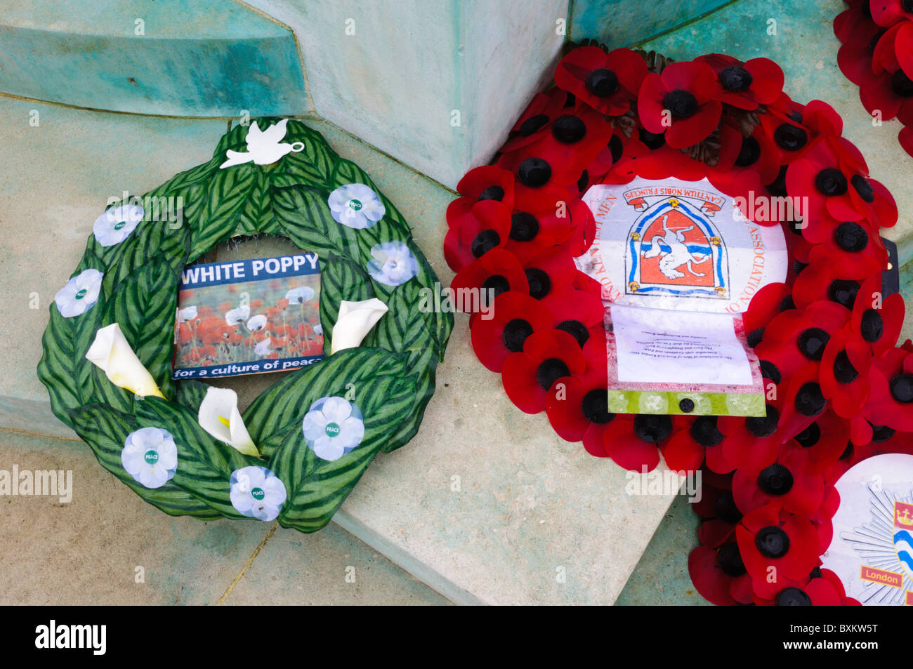 A white poppy wreath next to a conventional red poppy wreath Stock Photo