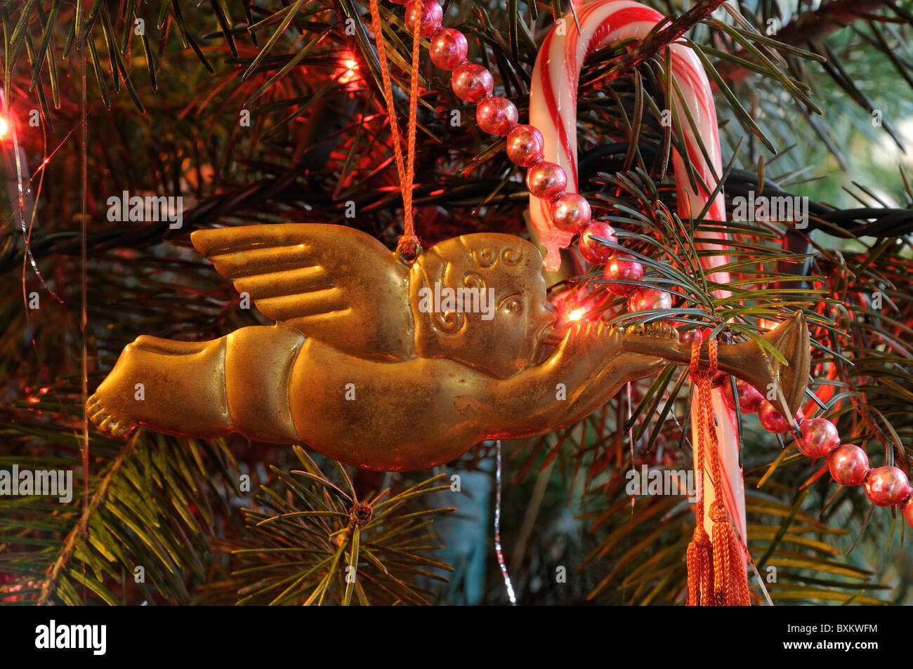 Douglas fir christmas tree hires stock photography and images Alamy