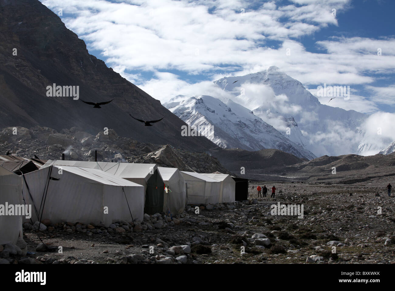 Tents at Everest Base Camp with a view of Everest or Qomolangma in Tibet,  China Stock Photo - Alamy