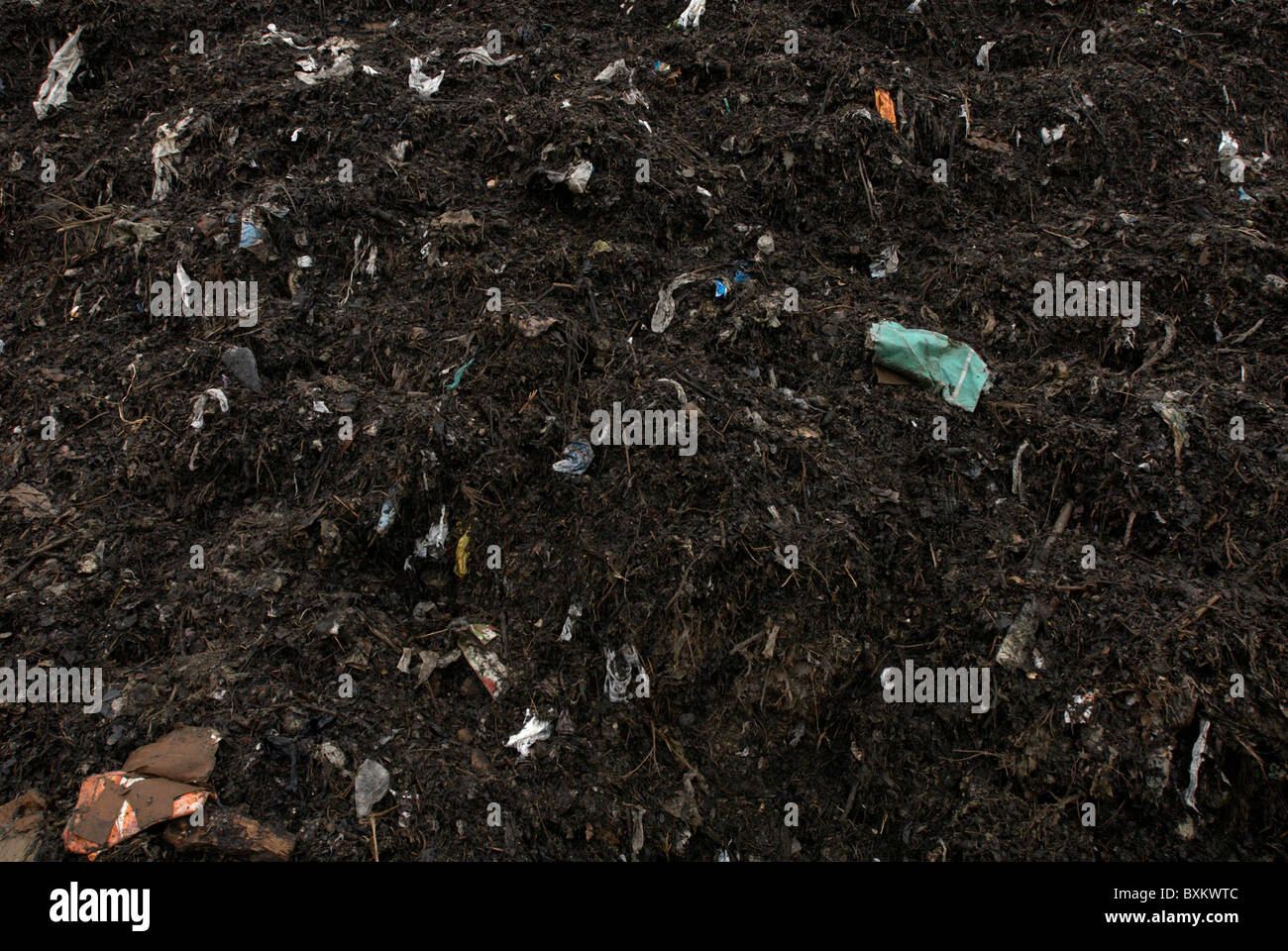 Garden waste compost heap Stock Photo