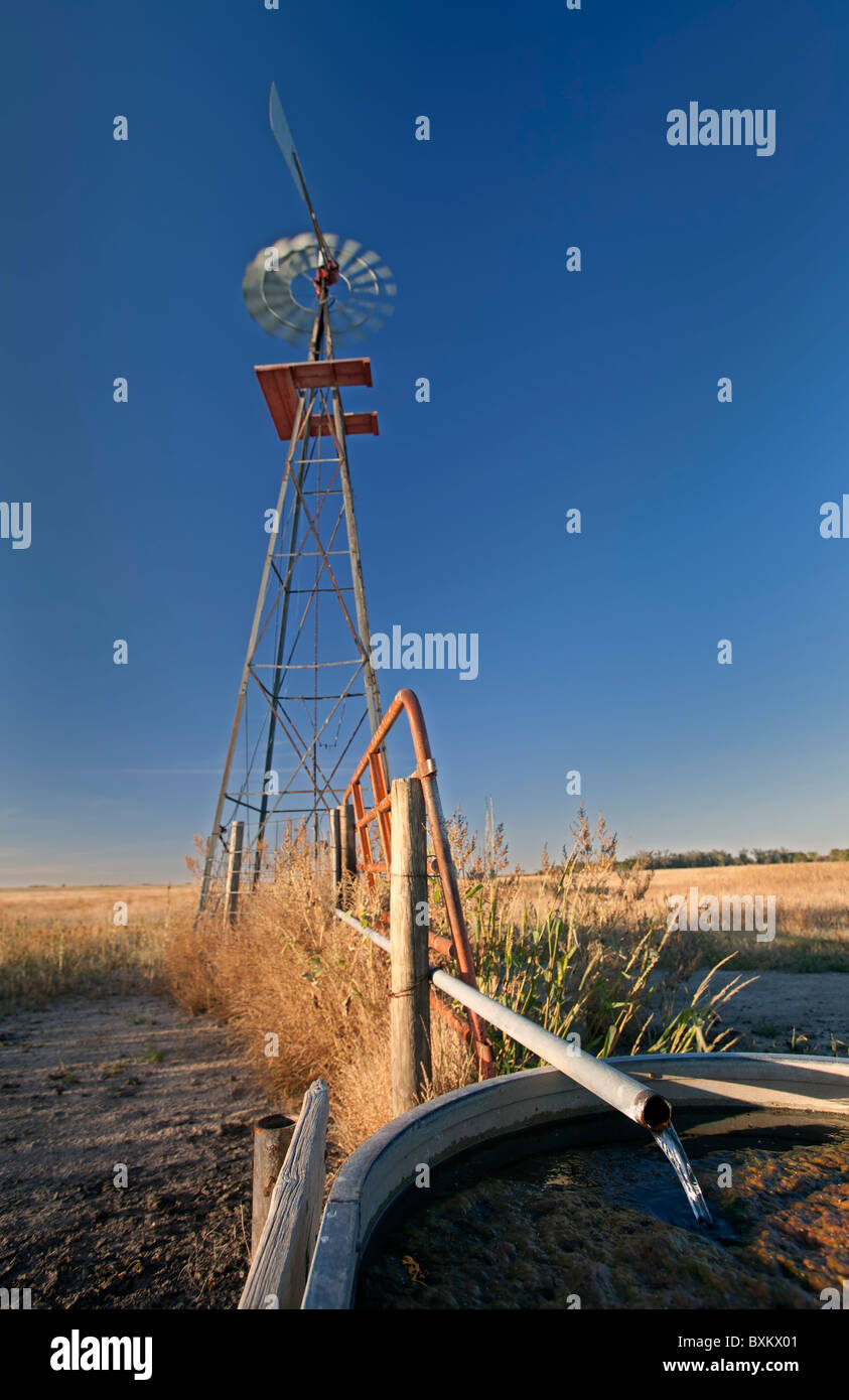 Windmill Pumps Water on Cattle Ranch Stock Photo