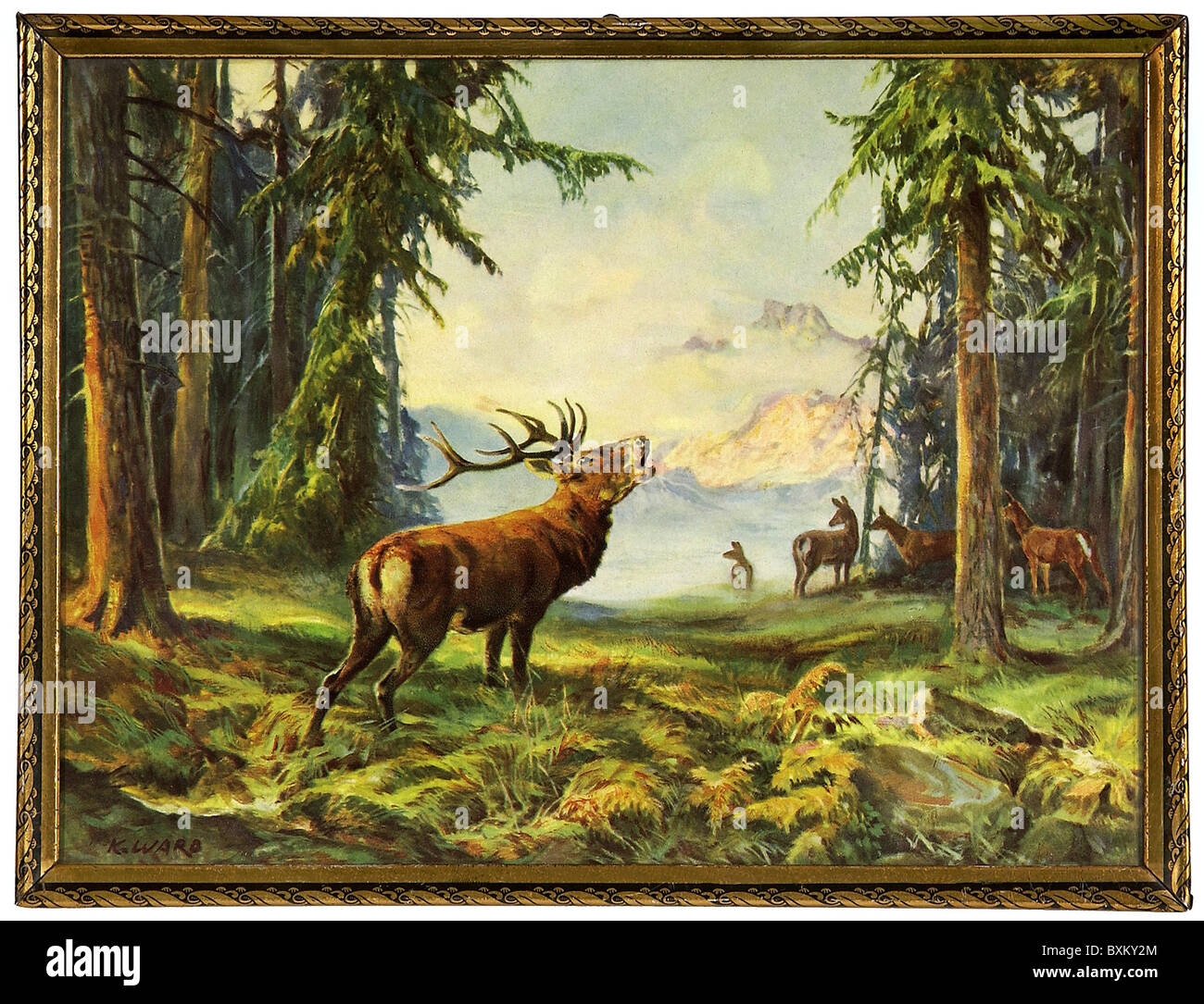 Deer Painting Stock Photos & Deer Painting Stock Images - Alamy
