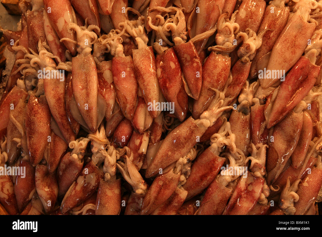 Central Seafood Market in Athens, Greece. Stock Photo