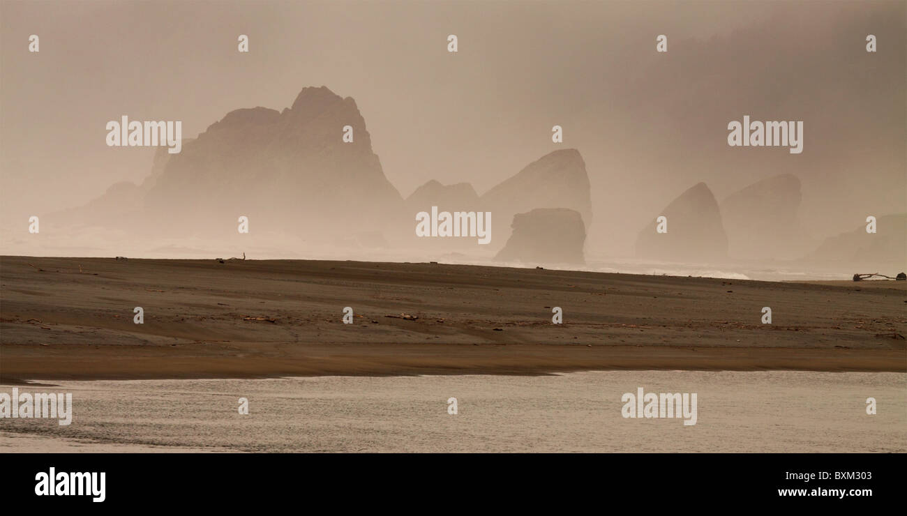 Ocean Mist Rocks Rocks rising out of the ocean mist Stock Photo - Alamy