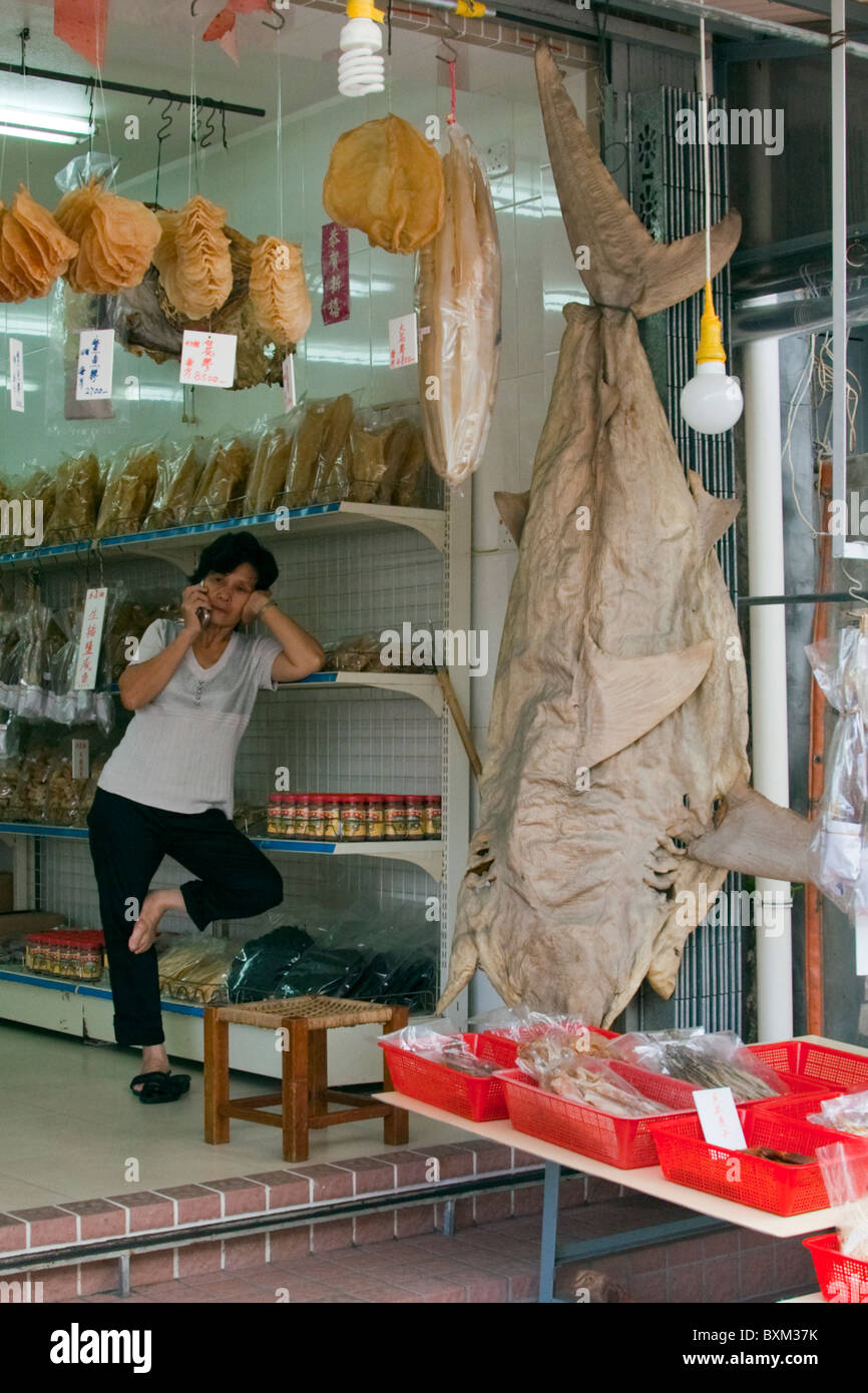 Tai O, Lantau Island, Hong Kong, China, Asia, Chinese shop keeper on mobile phone next to huge dried shark Stock Photo