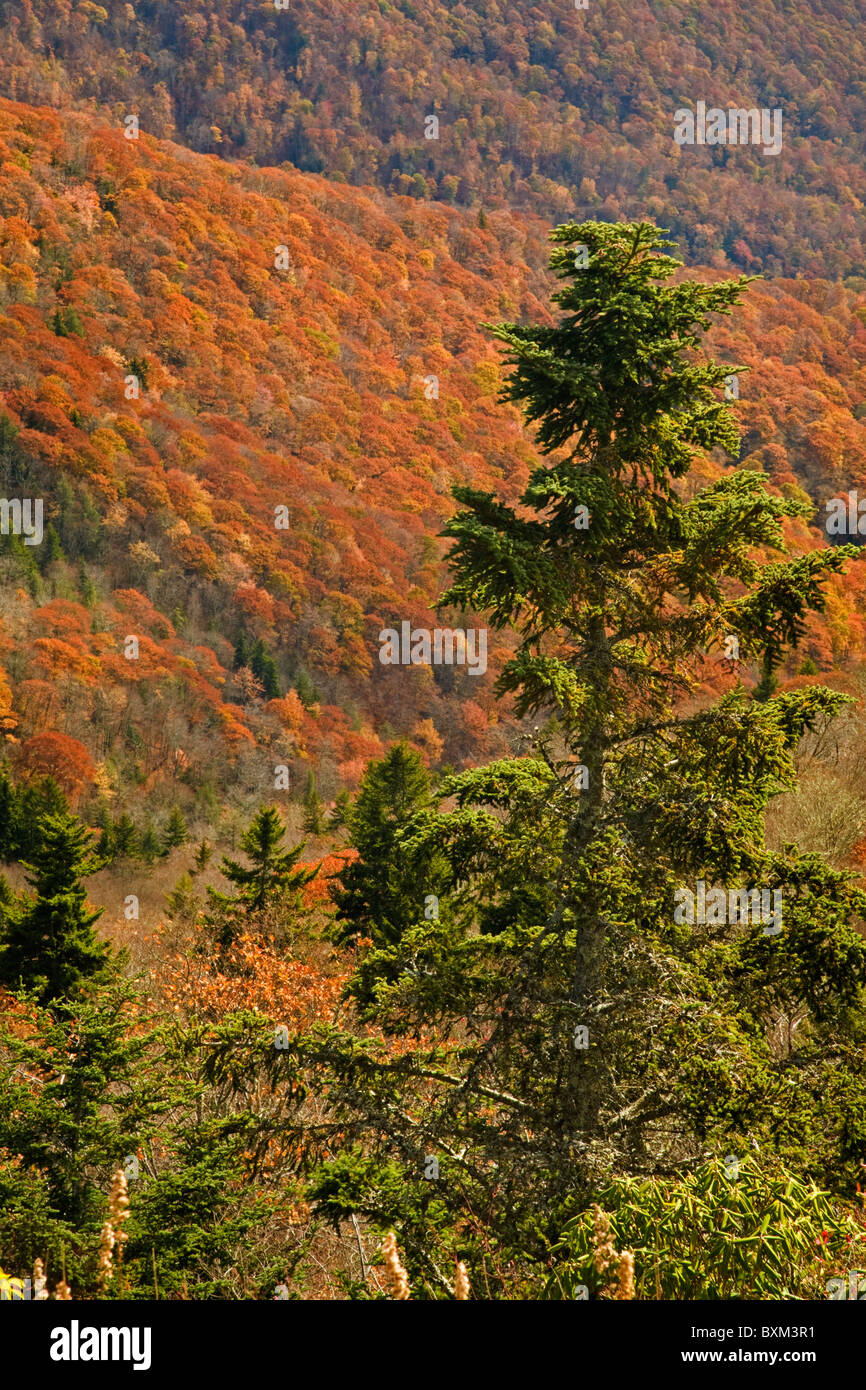 Autumn, Blue Ridge Parkway, NC Stock Photo - Alamy