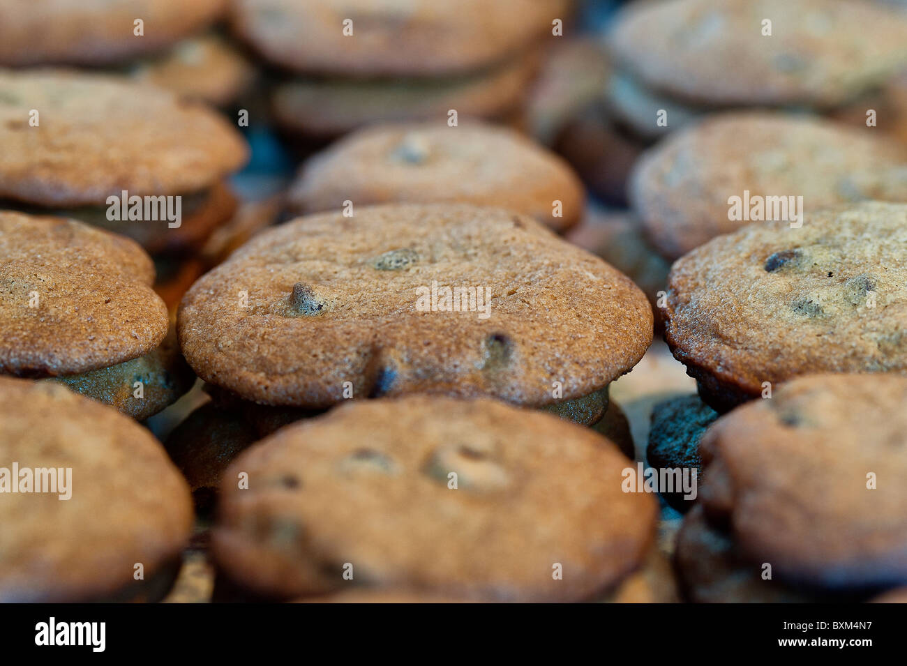 Freshly baked Christmas cookies. Stock Photo