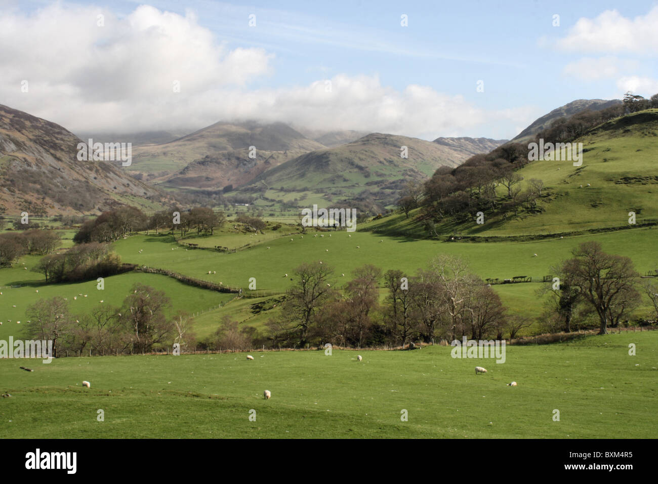 View of farm fields and Cadair Idris from Craig yr Aderyn (bird rock ...