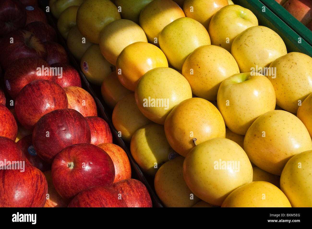 Montreal, Canada. Fruit at Jean-Talon Market. Stock Photo