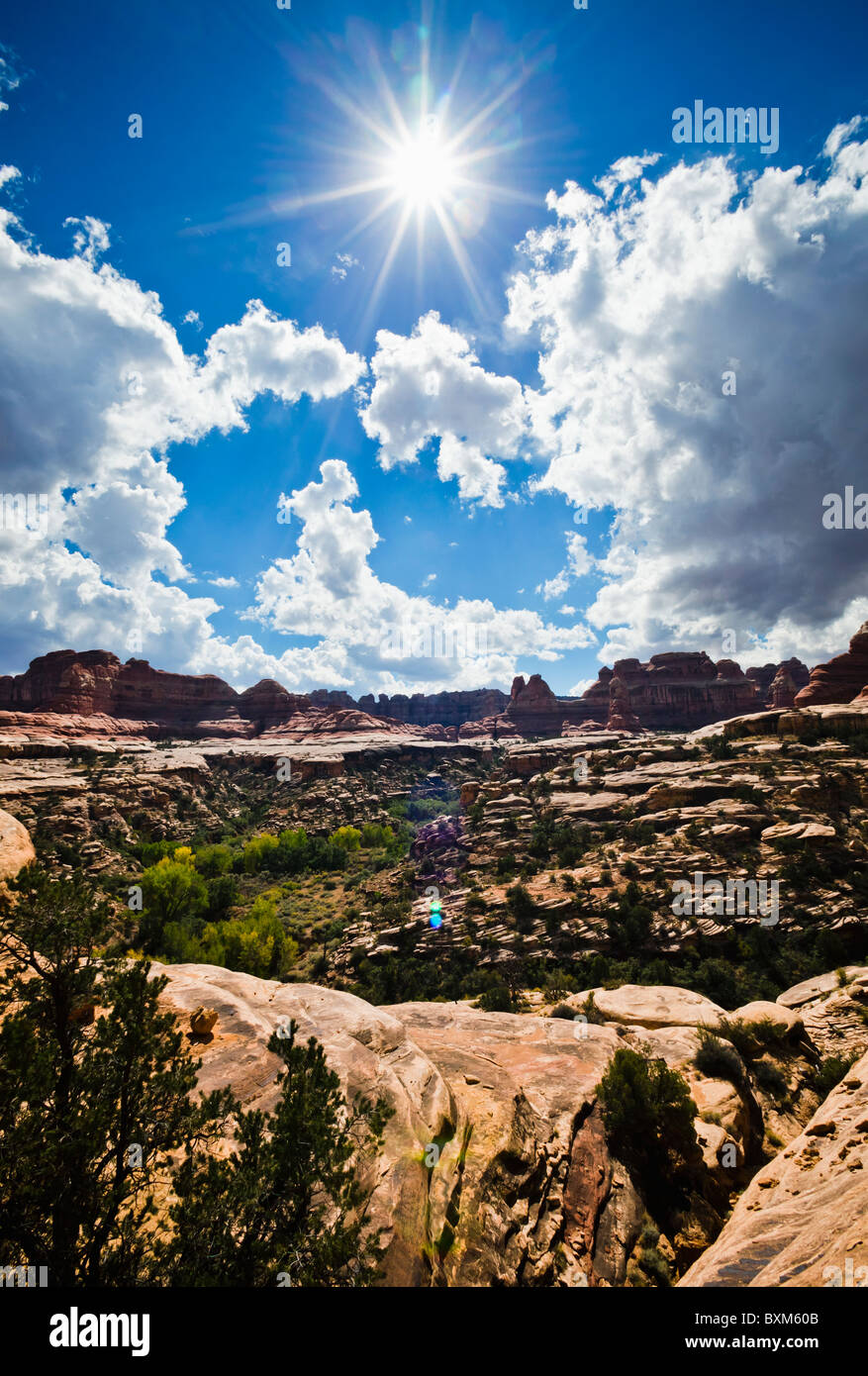 View of the sun and clouds over Sqauw Creek Canyon in Canyonlands National Park, Utah, USA. Stock Photo