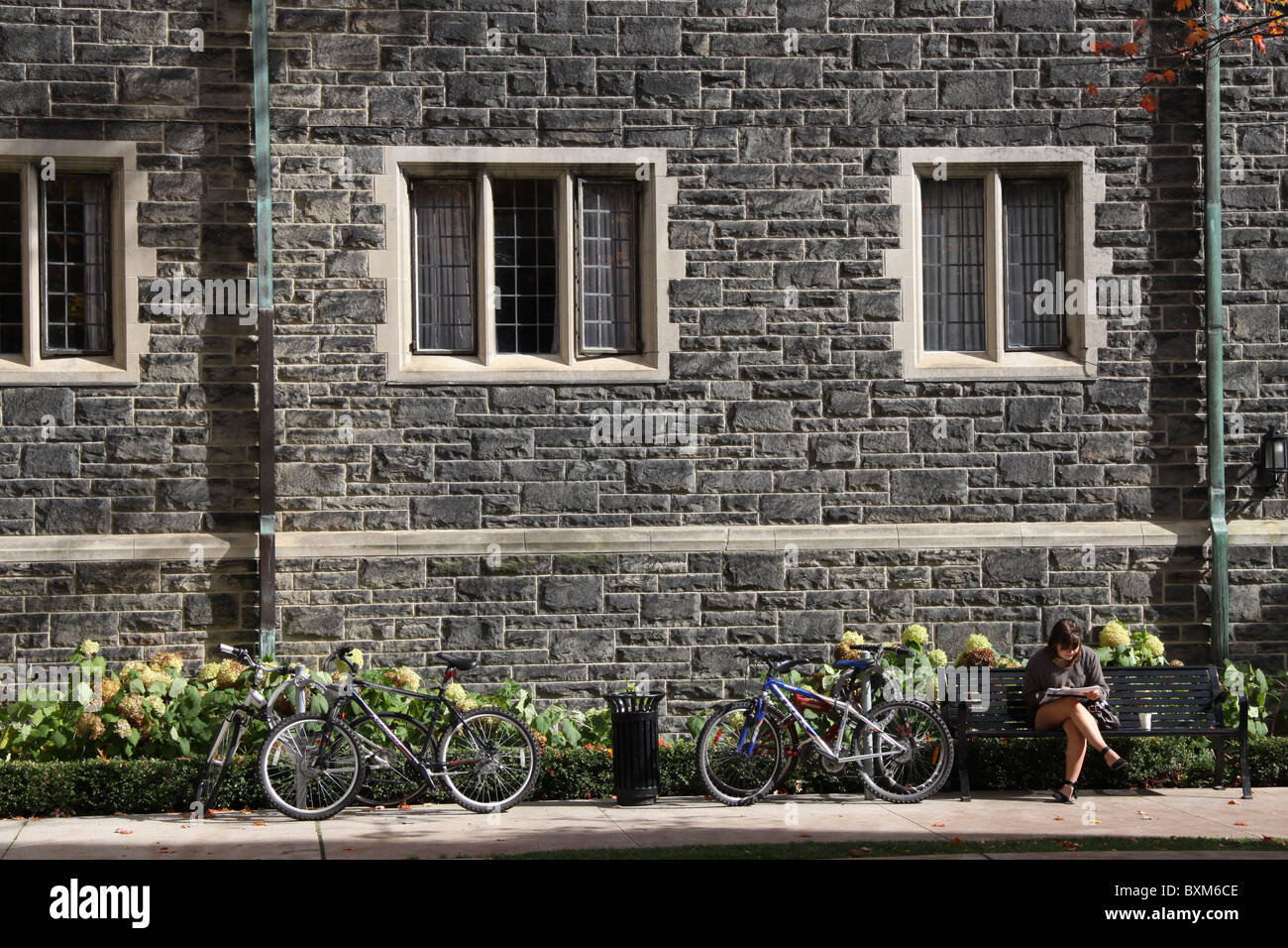 What Is Sit In College? , The Long History Of Sit-Ins As A Form Of ...