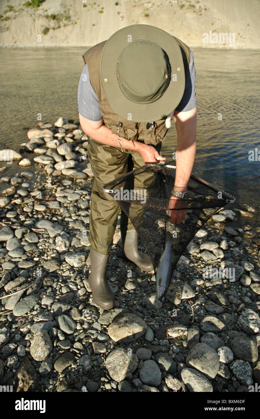 Fly fisherman unhooks rainbow trout in net by Clutha river Otago South