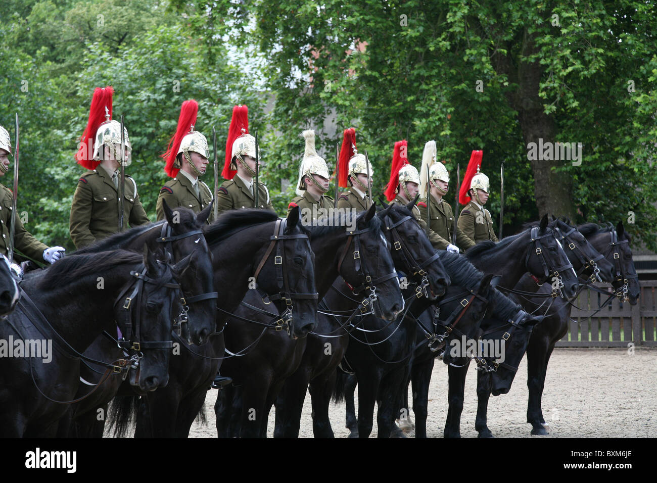 Royal Mounted Guards Training in London Stock Photo Alamy