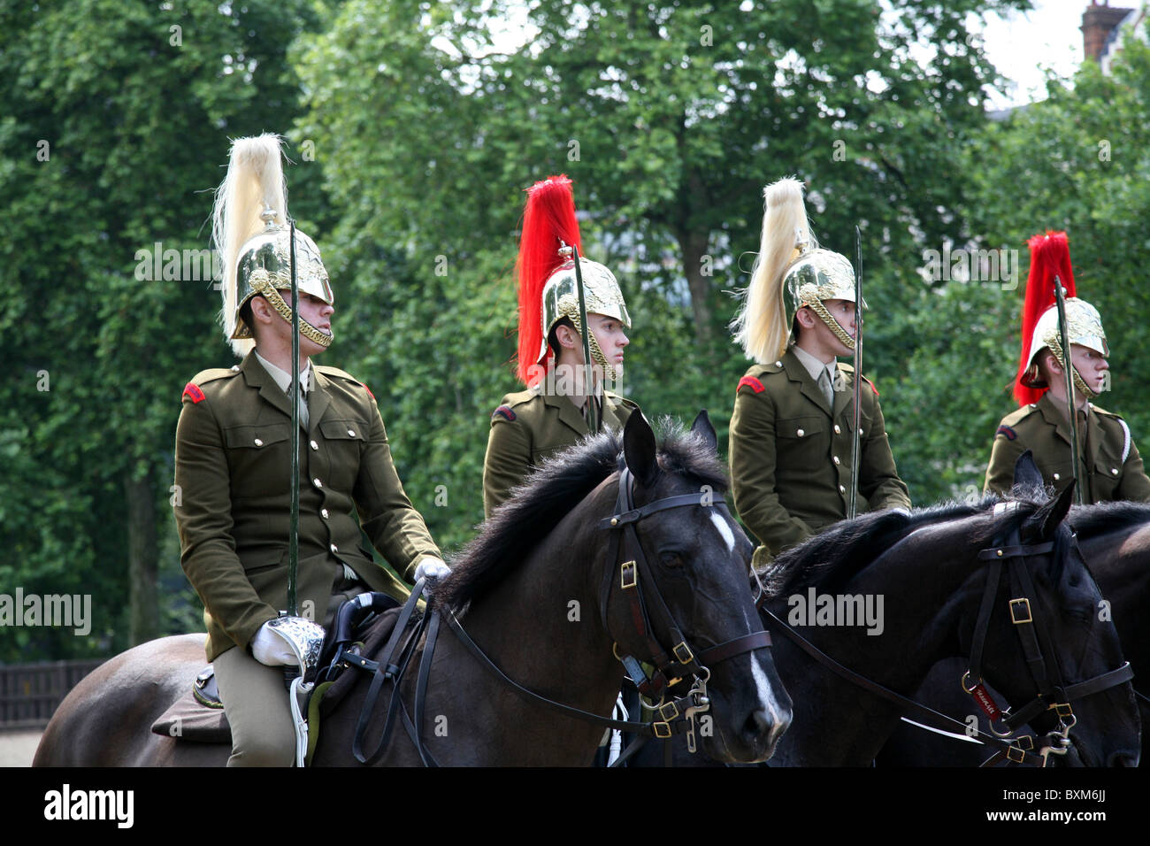 Royal Mounted Guards Training in London Stock Photo Alamy