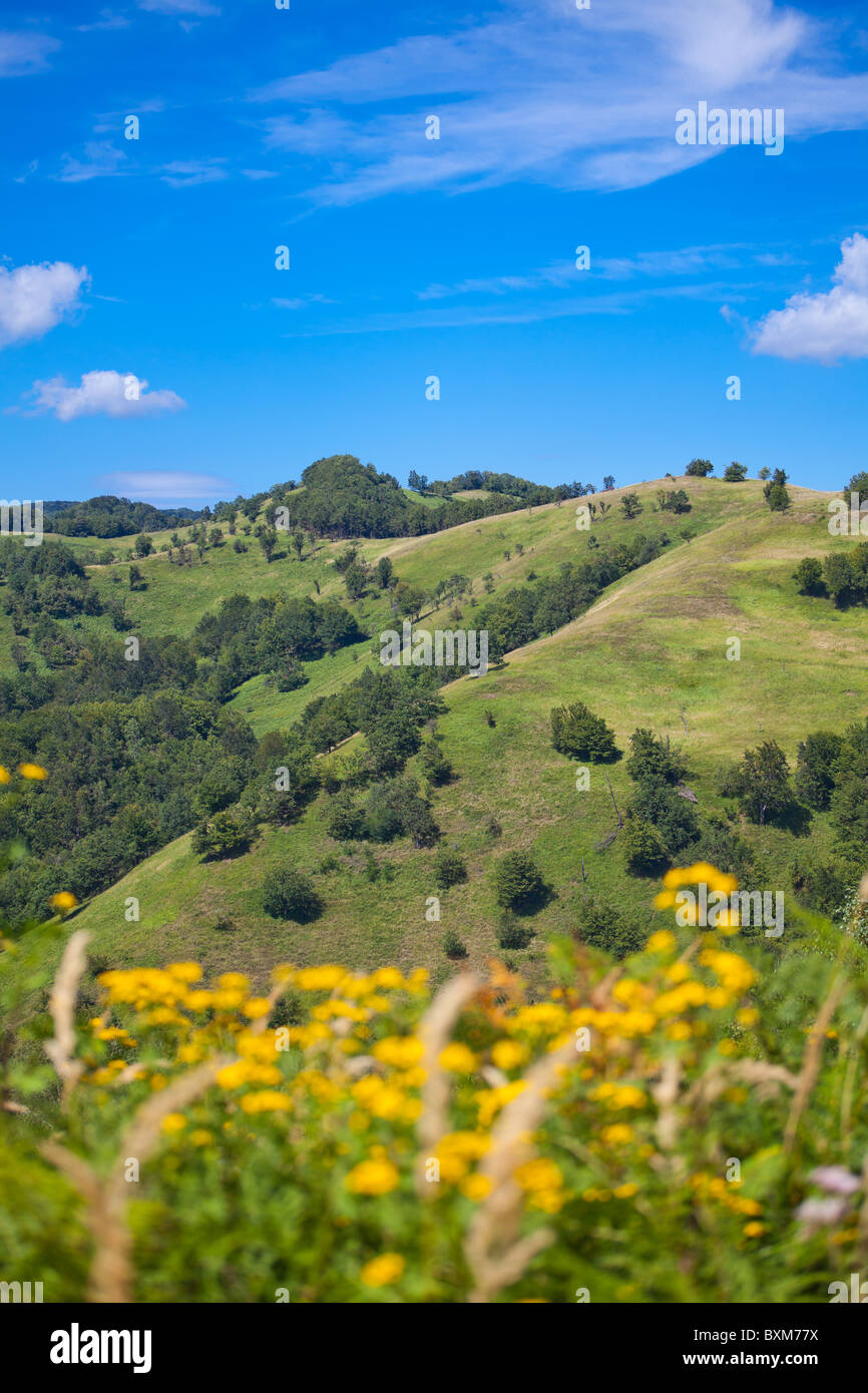 Picturesque summer landscape in Apuseni Mountains, Romania. Stock Photo