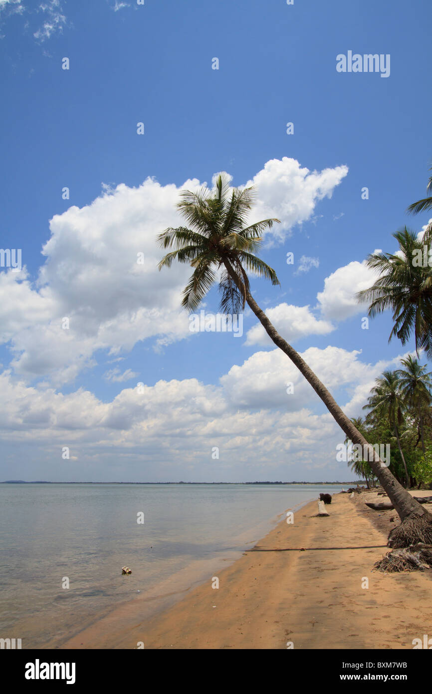 Sri Lanka East Coast beach at Kinniya near Trincomalee with leaning coconut palm tree hanging out over the water Stock Photo