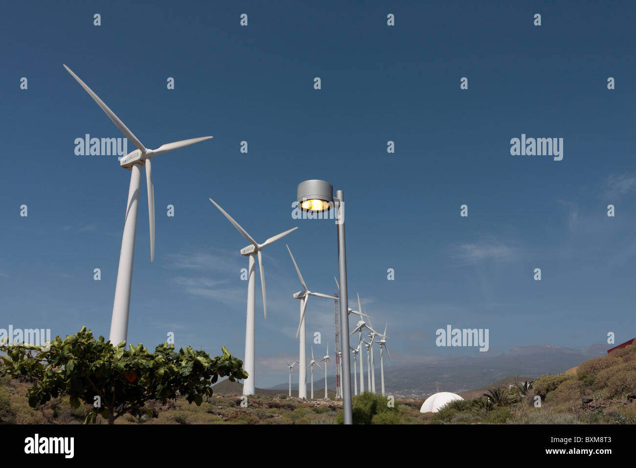 Wind turbines and a street light against a clear blue sky at the Parque