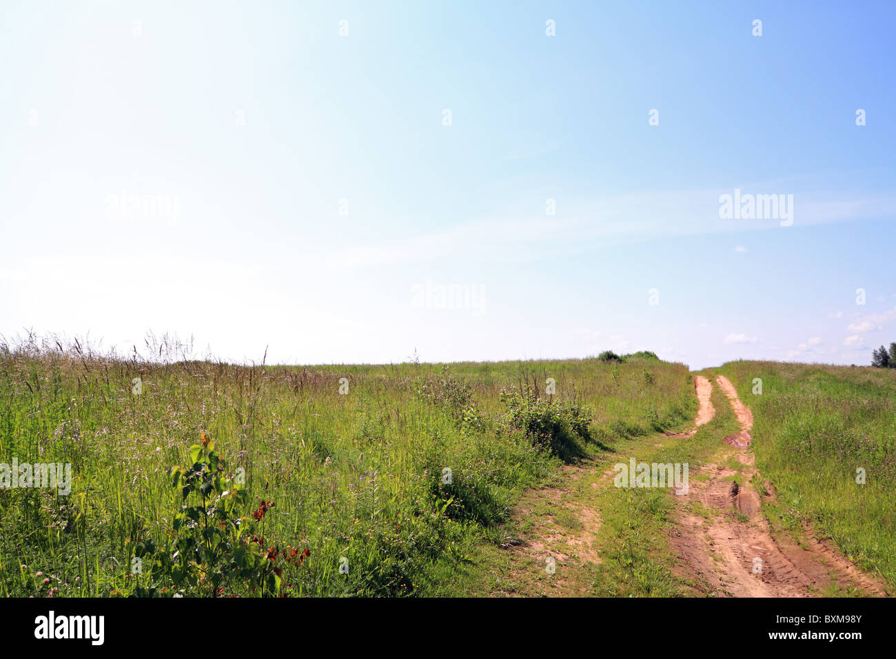 Rural russian landscape empty hi-res stock photography and images - Alamy