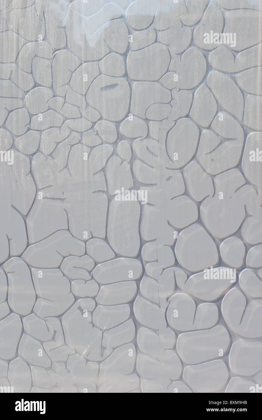 bubbling grey plastic film on a glass surface Stock Photo Alamy