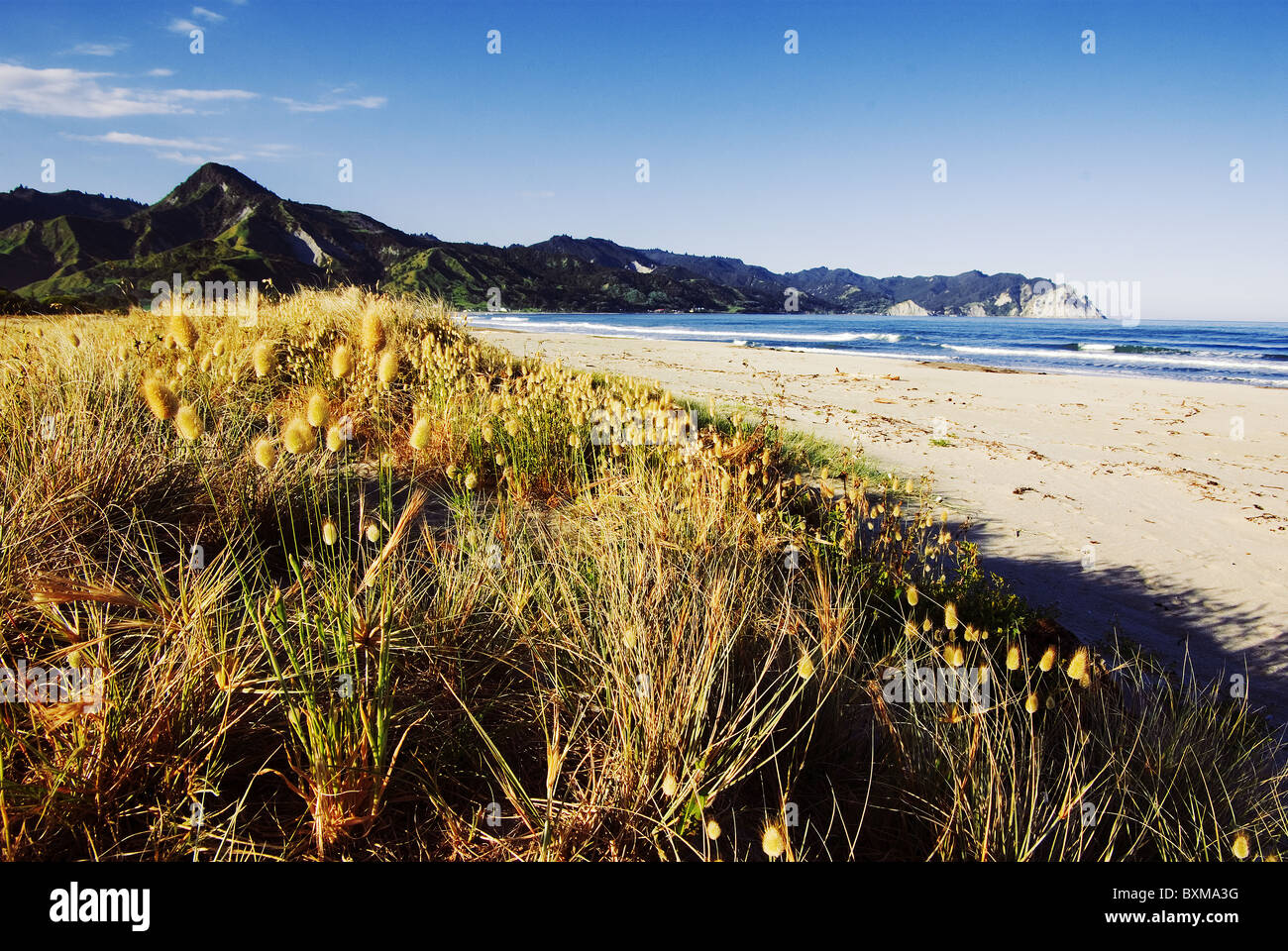 Beach in tokomaru bay,new zealand Stock Photo