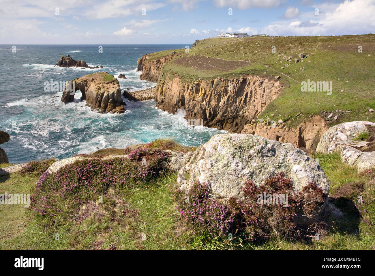 HEATHER AT LANDS END IN CORNWALL Stock Photo Alamy