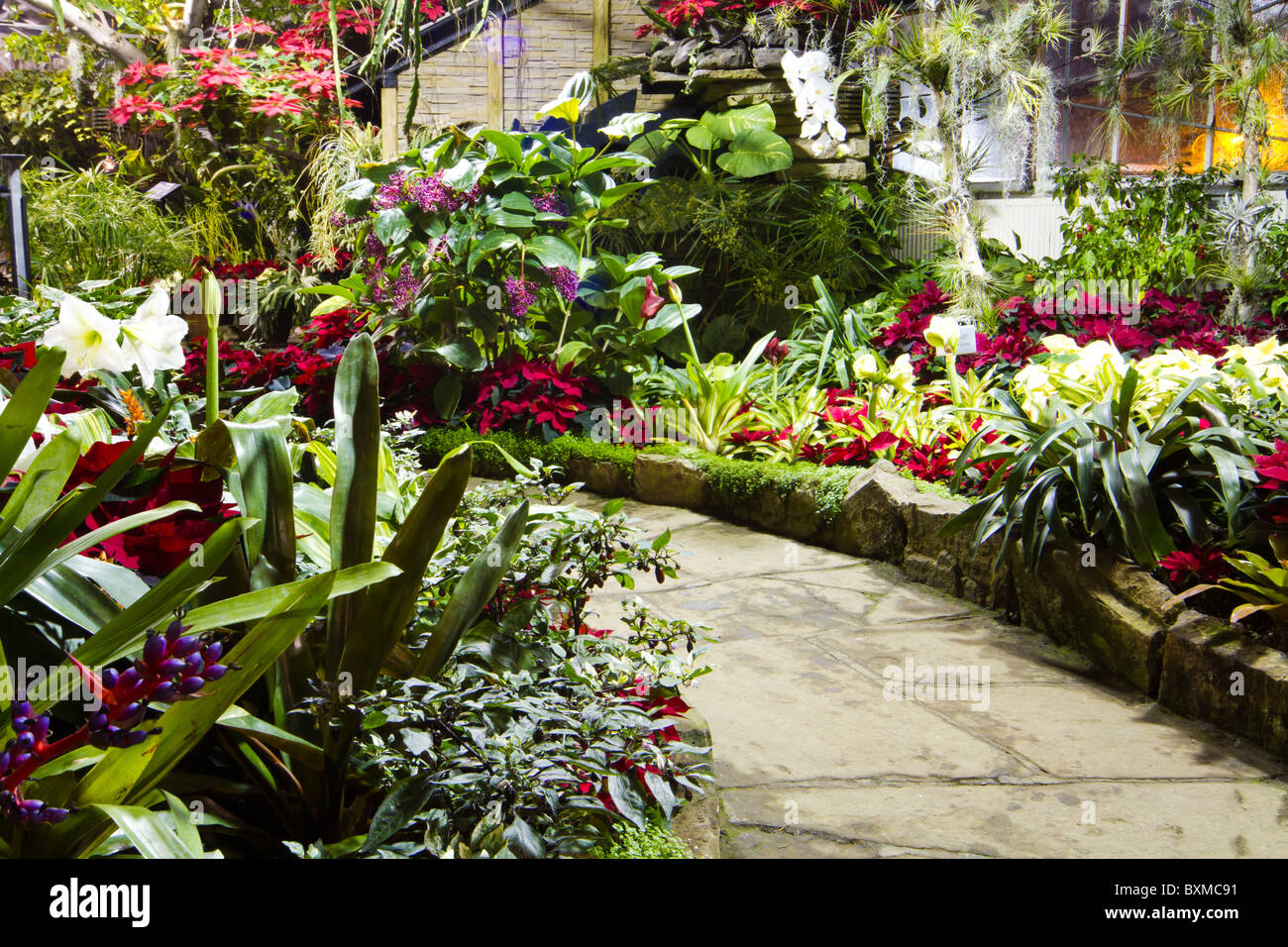 tropical garden greenhouse plants flowers Stock Photo - Alamy