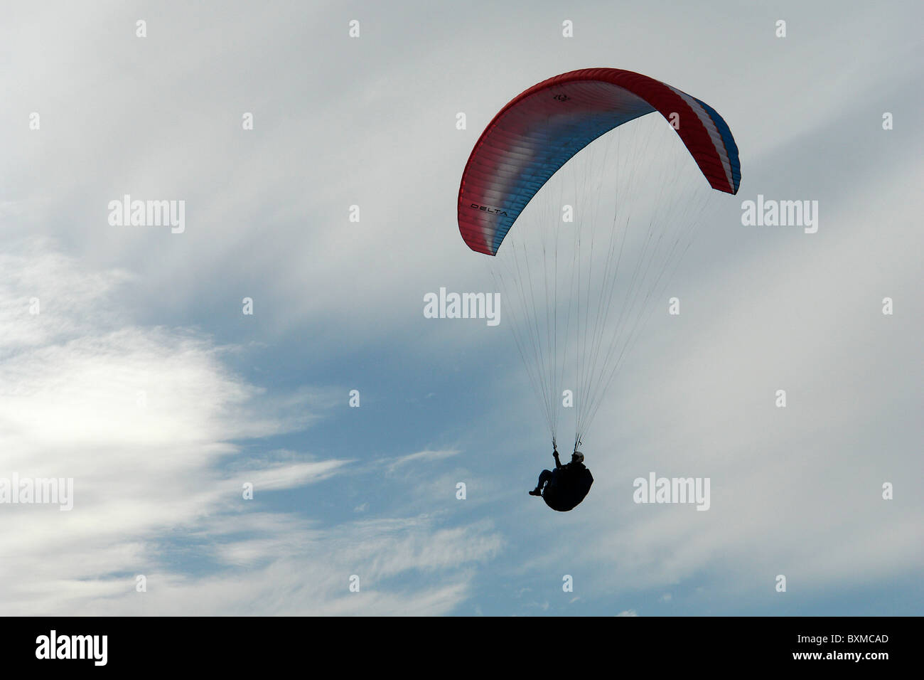 I fly free and solitaire, flying at dusk of a cloudy day Stock Photo
