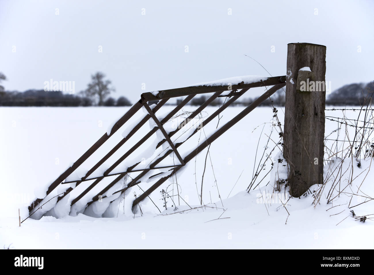 snowy countryside scene Stock Photo