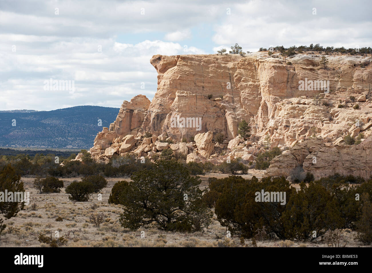 The Sandstone Bluffs at the El Malpais National Monument near Grants NM