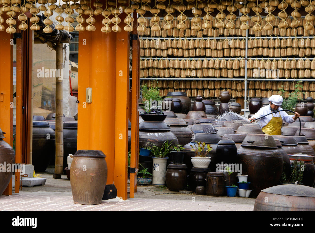 Dried bean paste (hanging) and clay jars containing jangachi, Sunchang Traditional Gochujang Village, South Korea Stock Photo