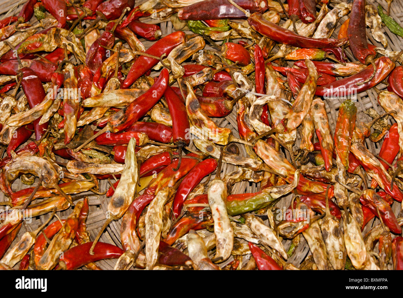 Drying chili peppers, South Korea Stock Photo