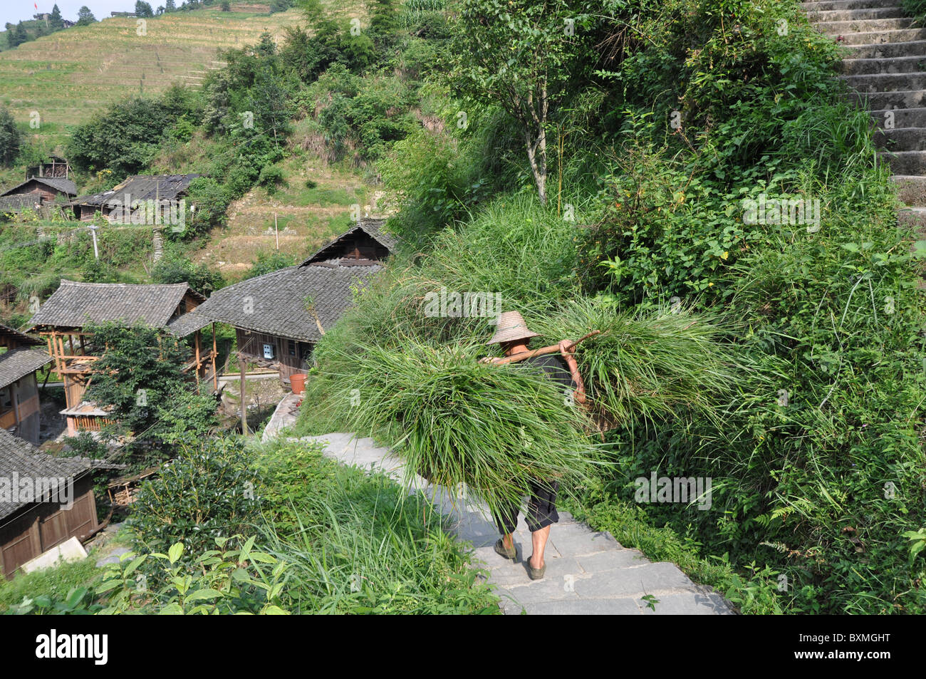 Chinese person on the way to work on the Longji rice terraces, Southern China Stock Photo