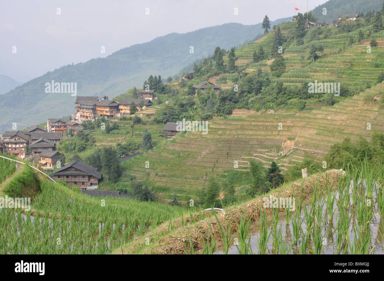Wooden buildings in a stunning scenery at Longji Rice Terrace, Southern China Stock Photo