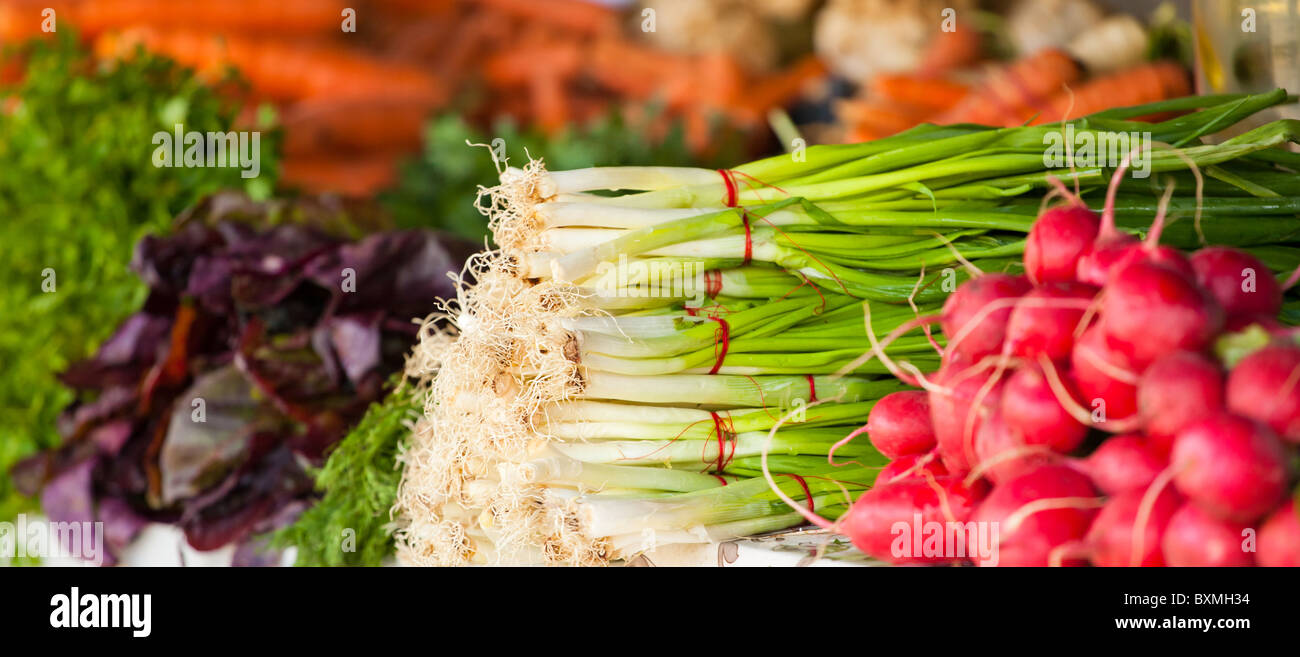 Vegetables for sale at the market in Romania. Focus on the green onions