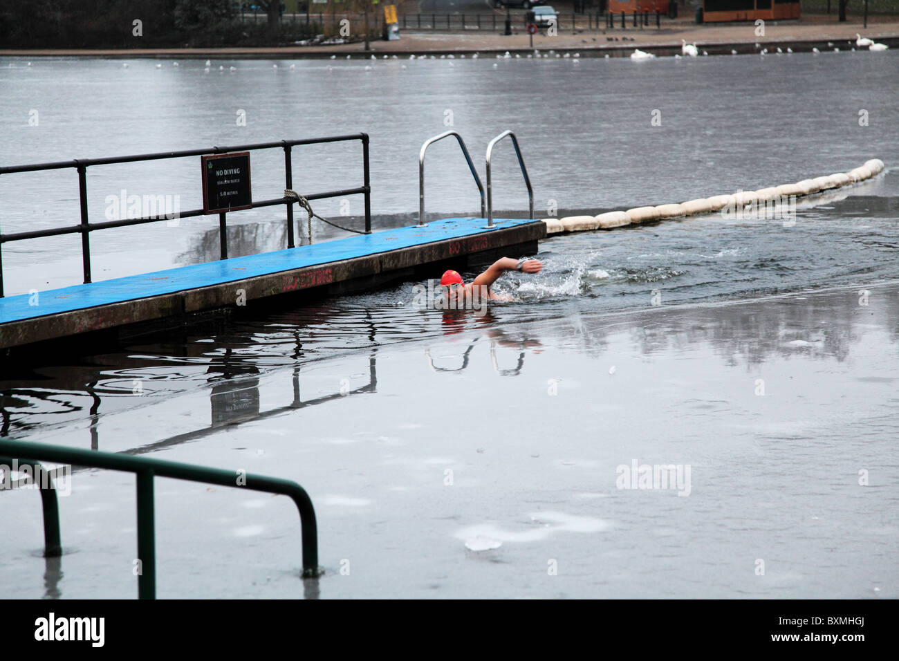 A lone swimmer. On Christmas Day 2010 at the Serpentine Swimming Club in Hyde Park, London. Stock Photo