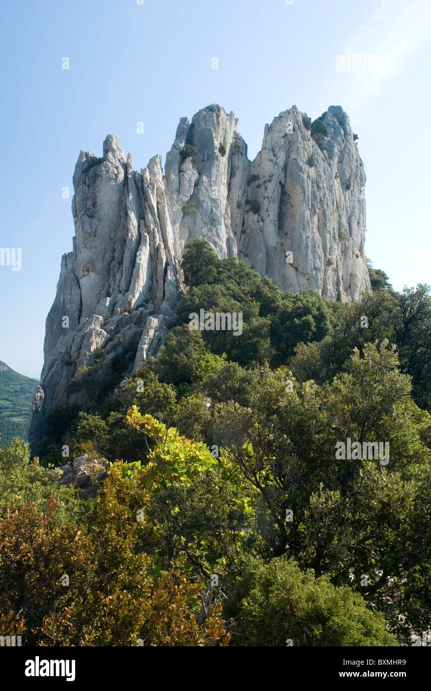 A part of the Montmirail Laces (Vaucluse - France). Une portion des Dentelles de Montmirail en Vaucluse (France). Stock Photo